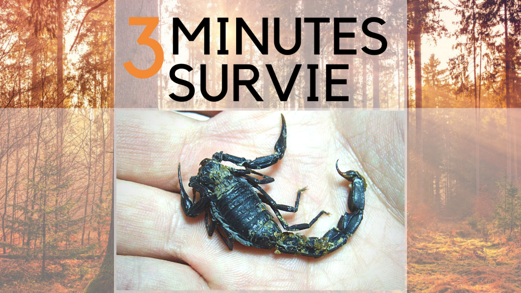 廬 Comment Survivre à Une Piqûre De Scorpion - Guide De Survie