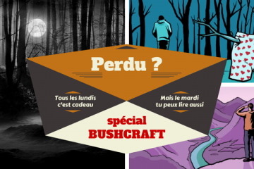 Conseils, Guide de survie : que faire face à un ours?